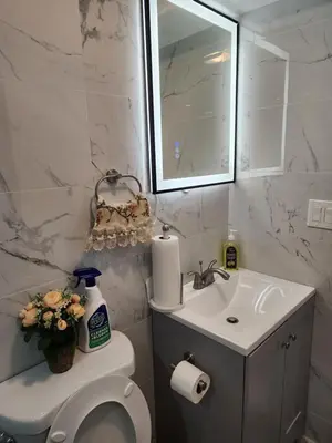 a bathroom with a sink and a toilet and a mirror at Unique Home Rentals For Professionals in Baychester