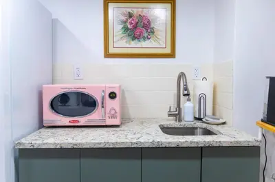 a pink microwave sitting on a counter next to a sink at Retro 2 bedroom basement APT with free parking in New Rochelle