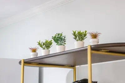 a shelf with potted plants on top of it at Bright 3bed basement with backyard & free parking in Yonkers