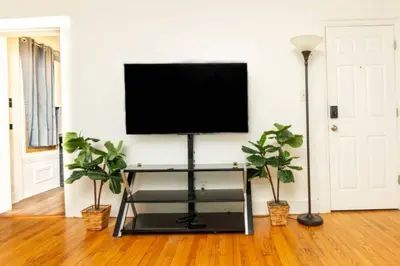 a flat screen tv on a wall in a living room with two plants at Spacious 1 bedroom Downtown in Albany