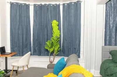 a living room with a couch and a plant at Downtown Studio Very Cozy in Albany