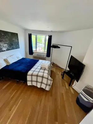 a bedroom with a bed and a television in it at 1 BEDROOM WITH SLEEPING IN LIVING ROOM Williamburg in Brooklyn