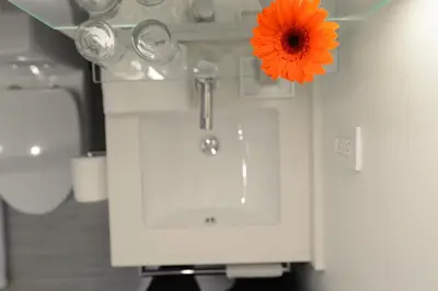 a bathroom with a sink with a orange flower on it at Edge Hotel Washington Heights in New York
