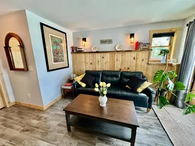 a living room with a black couch and a table at The Greylock Cabin in Florida