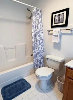 a bathroom with a toilet and a tub and a sink at Mountain Retreat in the Catskills in Roxbury