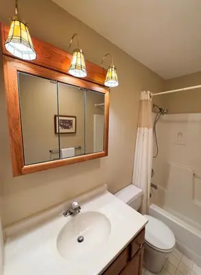 a bathroom with a sink and a toilet and a mirror at Mountain Retreat in the Catskills in Roxbury