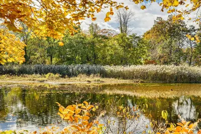 a pond in a park with autumn foliage at 1 Mi to Main St Riverside Torrington Apt with Yard in Torrington