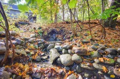 a creek with rocks and leaves on the ground at Riverfront Apt with Fire Pit and Yard in Millers Falls