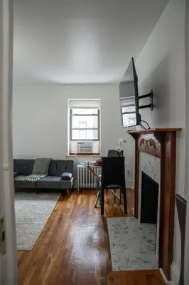 a living room with a couch and a fireplace at Harlem Muse in New York