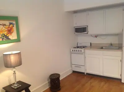 a small kitchen with a stove and a sink at Historic Striver's Row Apartment in New York