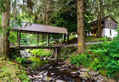 a wooden bridge over a stream in a forest at The Mountain Brook Inn in Bovina Center