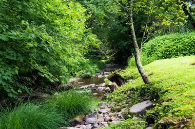 a stream in the middle of a field with trees at The Mountain Brook Inn in Bovina Center