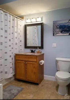 a bathroom with a toilet and a sink and a mirror at Modern Hunter Mountain Condo Steps from Slopes in Hunter