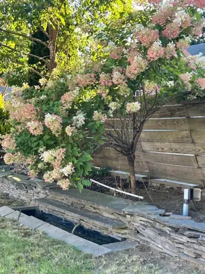 a tree with pink flowers on top of some steps at Litchfield Retreat, Wineries, Foliage & Skiing in Torrington