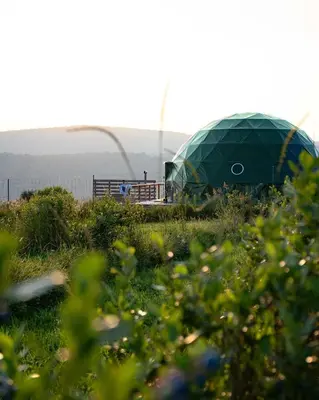 a couple of green domes in a field at Glamping Getaway at 'The Coyote Dome' in Franklin in Franklin