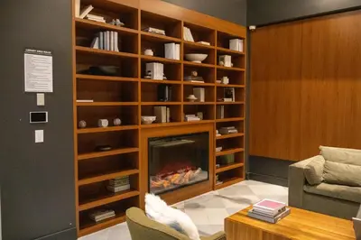 a living room with a fireplace in a book shelf at Lux Bronx Apt Rooftop, Pool, Gym, Cinema in Mott Haven