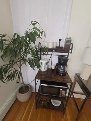 a plant sitting on a table next to a coffee maker at Cozy Private Suite Near Train to NYC in Fairfield