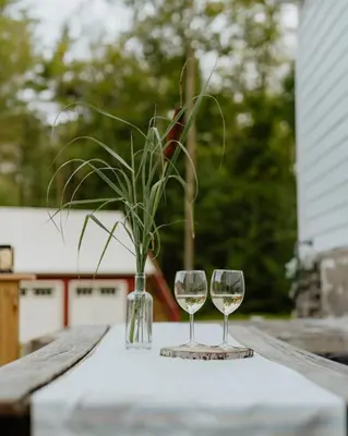 a table with two glasses and a vase with a plant at Waterfront 1900s Hot Tub Eldred Homestead in Eldred