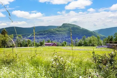 a field of grass with mountains in the background at 5 Minutes to Ski Hunter Mountain! Family Friendly - Hot Tub, Sauna, Sunset Views in Hunter