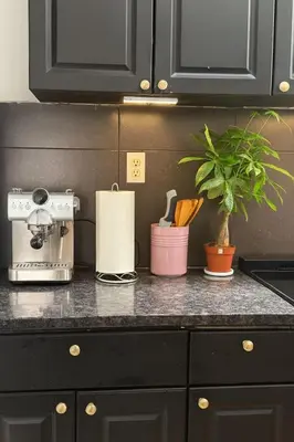 a kitchen counter top with a plant on it at Elegant Upper East Side Studio Retreat Near Central Park and The Met in New York