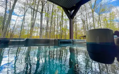 a pool of water with trees in the background at Massive Log Chalet with Hot Tub in Lakeville
