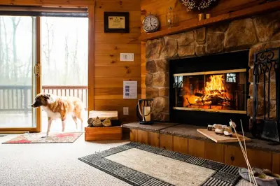 a dog standing in a living room with a fireplace at Massive Log Chalet with Hot Tub in Lakeville