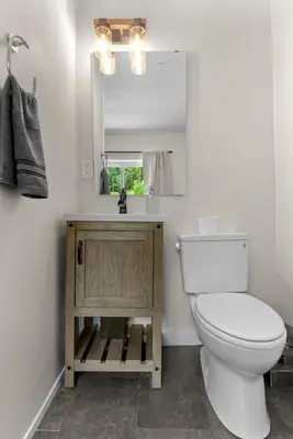 a bathroom with a toilet and a sink and a mirror at Skiing Close By! Firepit & Game Room in Ashland
