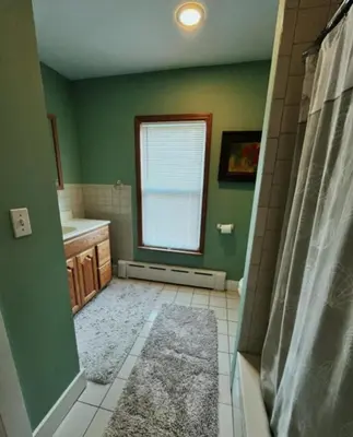 a green bathroom with a shower and a window at Charming Four Bedroom House in Tannersville