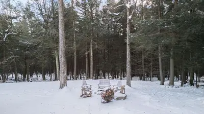 two benches in the snow next to some trees at Catskills Mountain Home Near Windham w Fireplace Open Living Deer Run Lodge by AvantStay in Prattsville