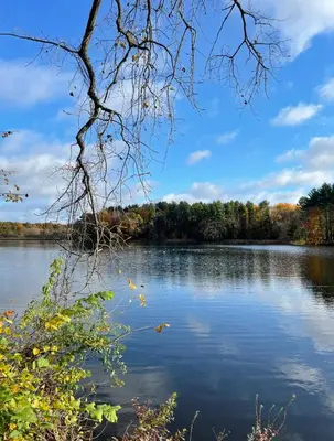 a view of a lake with trees in the background at Modern Cozy Studio in East Windsor
