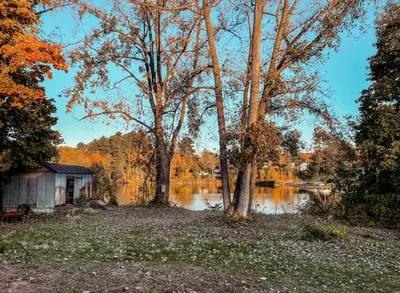 a small shack next to a lake with trees and water at Modern Cozy Studio in East Windsor