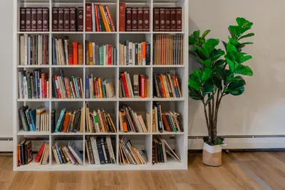 a white book shelf filled with books next to a plant at Spacious 2-Bedroom Apartment NYC-10 mins away in Union City