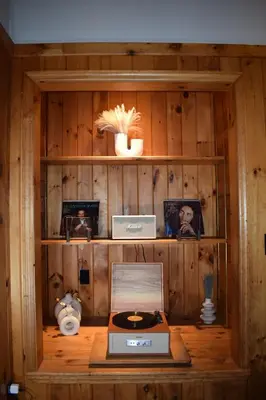 a room with a wooden wall with a record shelf at Secluded Catskills Cabin , Cozy and Private in Acra