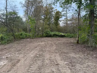 a dirt road in the middle of a forest at Live The Outdoors