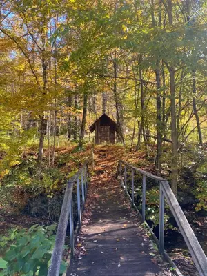a wooden bridge leading to a cabin in the woods at Cozy stream-side cabin in Lanesborough