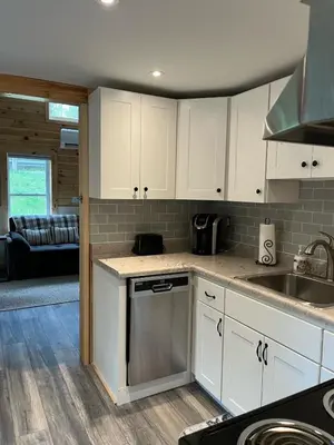 a kitchen with white cabinets and a stainless steel dishwasher at Cozy stream-side cabin in Lanesborough