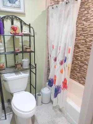 a bathroom with a toilet and a shower curtain at Lucious Lagrangeville in Lagrangeville