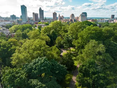 an aerial view of a city with trees and buildings at Studio in Little Italy in New Haven