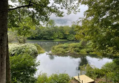 a view of a river with trees and a bridge at Delaware River Retreat