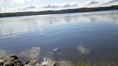 a large body of water with trees in the background at 13-Min Jiminy, Fave, Hot Tub, Lg Open LR, Family in Pittsfield