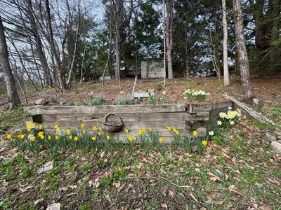 Gallery image of Little House on the River in Salem