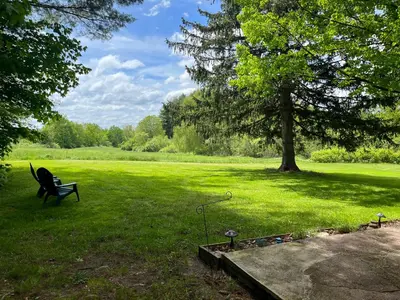 a park with a bench and a tree in the grass at Peaceful Meadow Retreat in Granby
