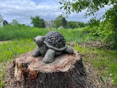a stuffed turtle sitting on top of a tree stump at Peaceful Meadow Retreat in Granby