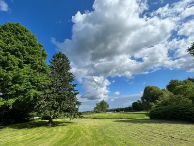 a tree in a field under a cloudy sky at Peaceful Meadow Retreat in Granby