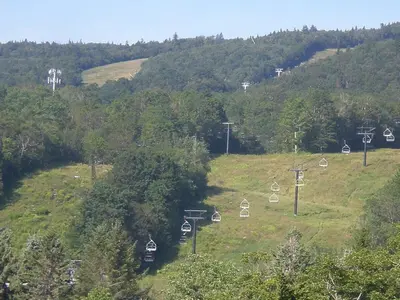 a bunch of signs on a hill with trees at Mount Snow Chalet Loft Condo With VIEW ! in Dover