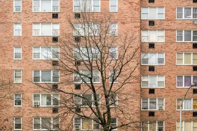 a tall brick building with a tree in front of it at Piece of mind in Harlem in New York