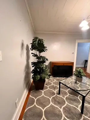 a living room with a plant and a glass table at PRIVATE ROOM IN SHARED 3 BED - 1 BATH home in Hartford