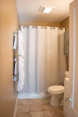 a bathroom with a shower curtain and a toilet at Ann Inn - Downtown New Milford Apartment in New Milford