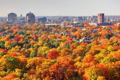 an autumn view of a city with colorful trees at Harbor Haven, Apt #4 - 2BR/1BA in Stamford