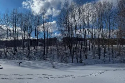 a group of trees in the snow with at Glen Run 2S in West Dover